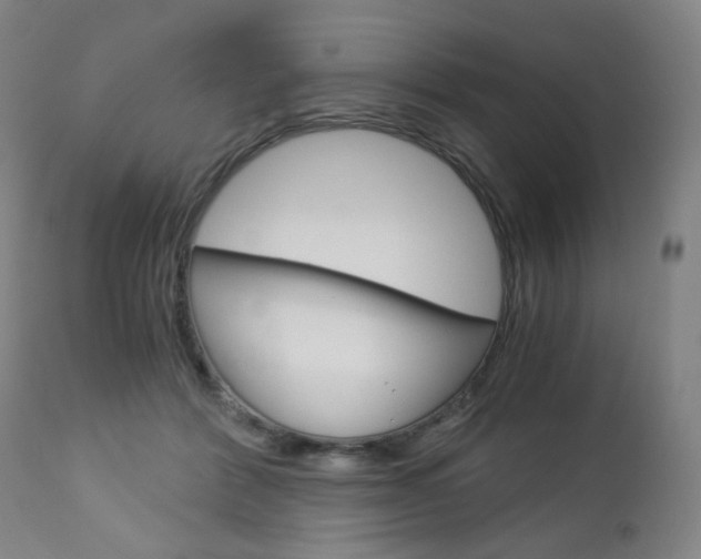 X0000113140412200909041002