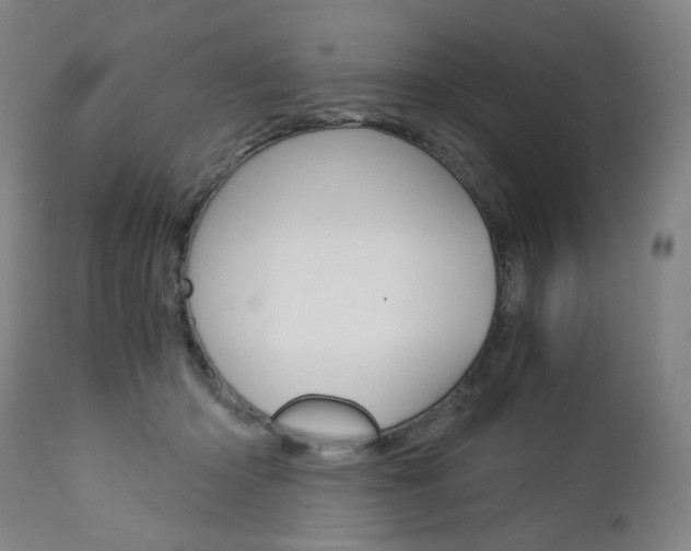 X0000113140414200909041002