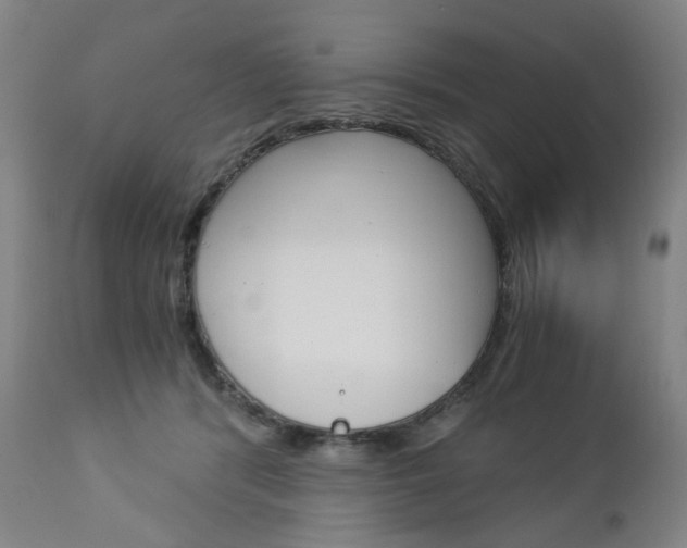 X0000113140416200909041002