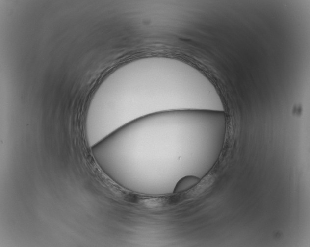 X0000113140417200909041002