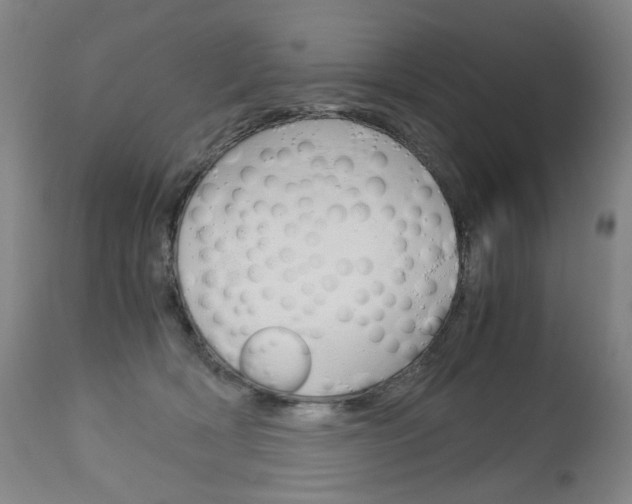 X0000113140418200909041002