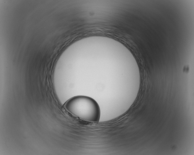 X0000113140419200909041002