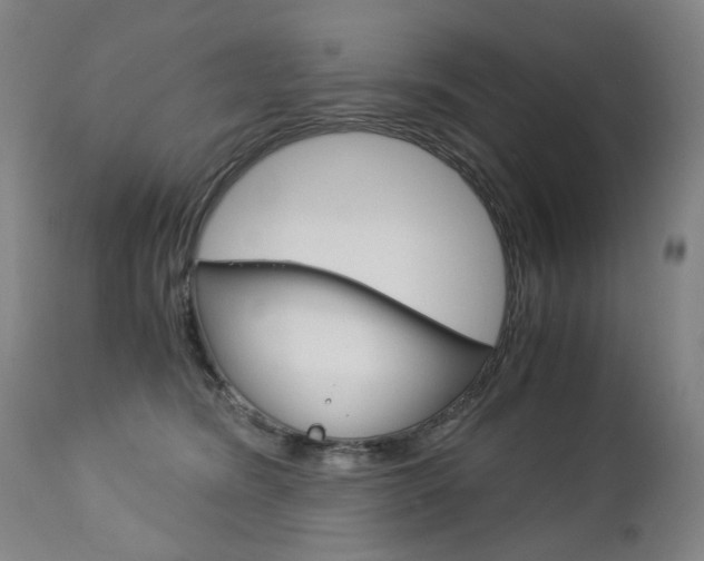 X0000113140420200909041002