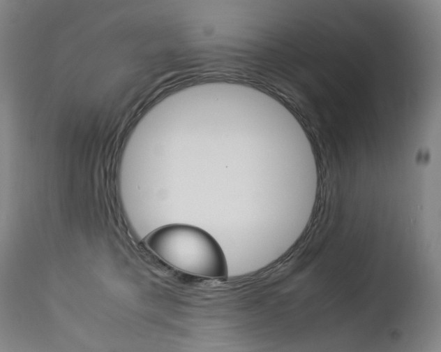 X0000113140421200909041002