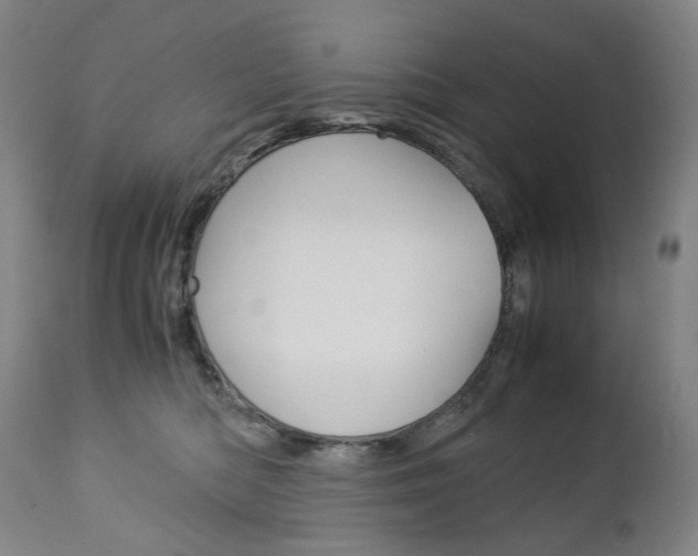 X0000113140422200909041002
