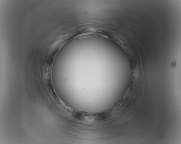 X0000113140423200909041002