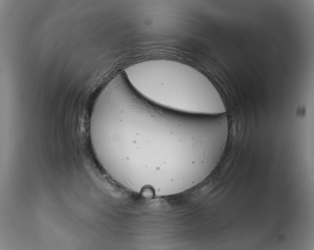 X0000113140424200909041002