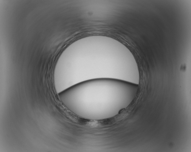 X0000113140425200909041002