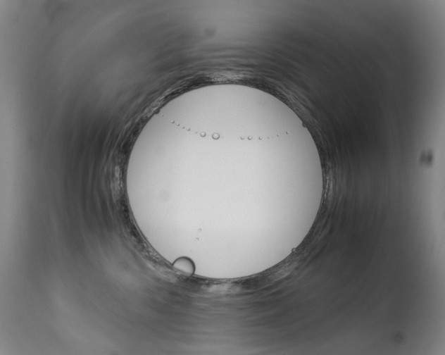 X0000113140426200909041002