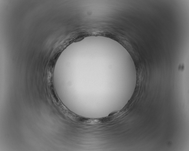 X0000113140427200909041002