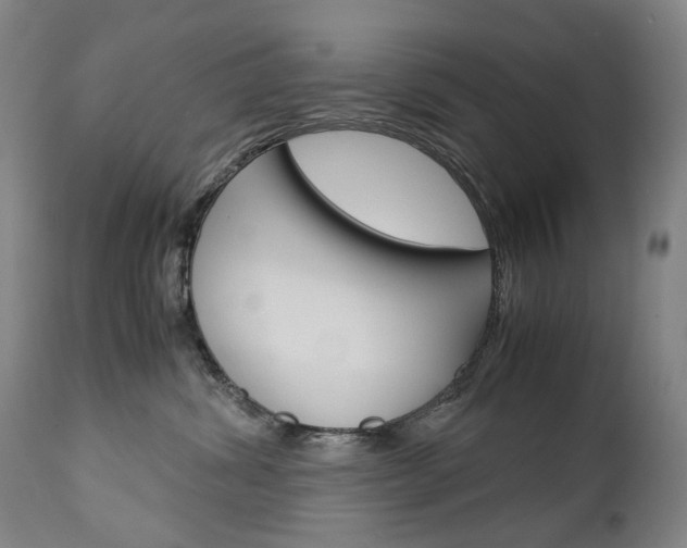 X0000113140428200909041001