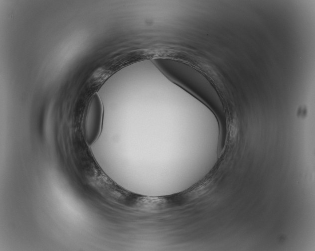 X0000113140429200909041001