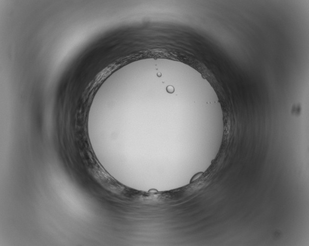 X0000113140430200909041001