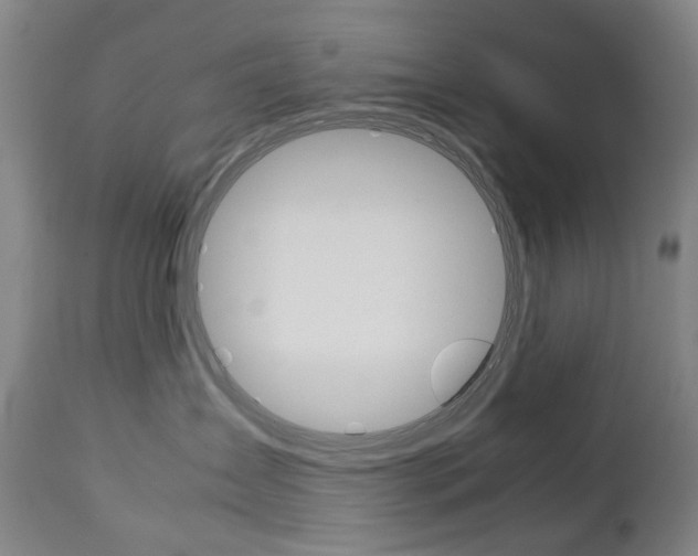 X0000113140431200909041001