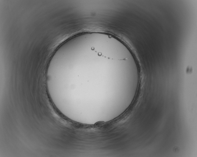 X0000113140433200909041001
