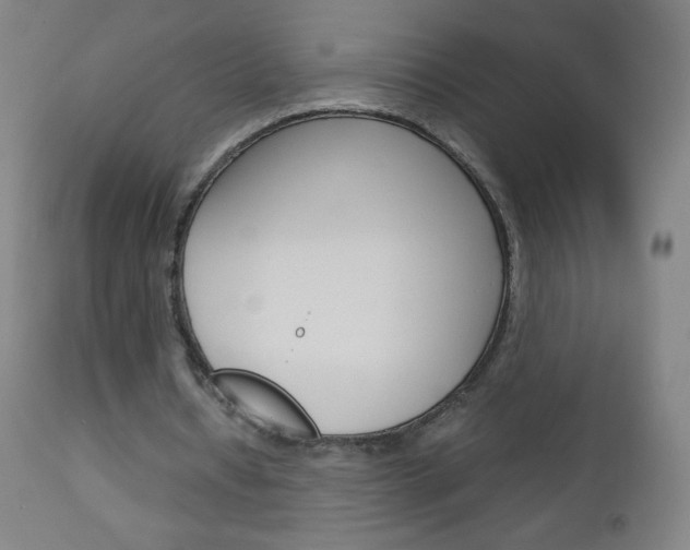 X0000113140434200909041001