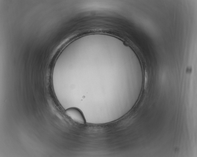 X0000113140435200909041001