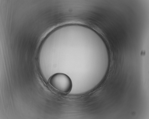 X0000113140436200909041001