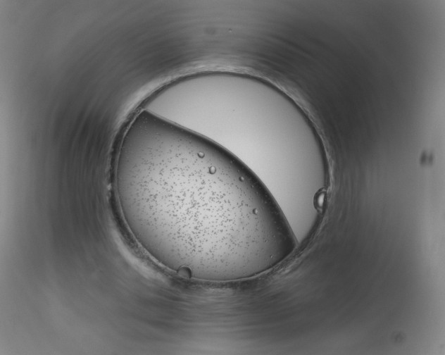 X0000113140438200909041001