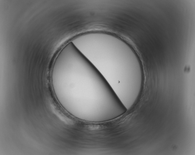 X0000113140439200909041001