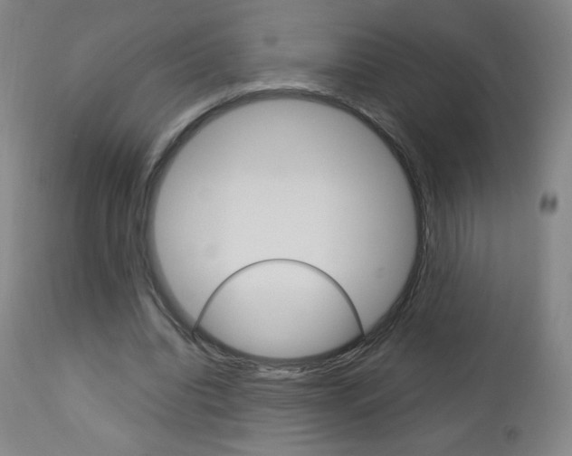 X0000113140440200909041001