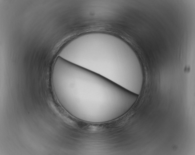 X0000113140442200909041001