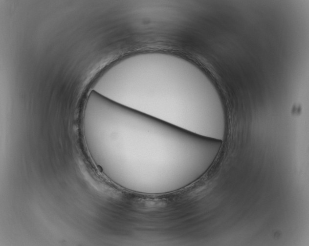 X0000113140443200909041001