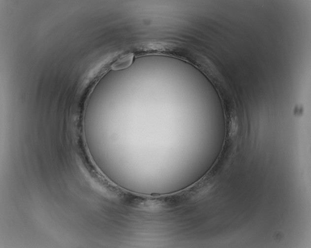 X0000113140444200909041001