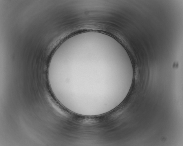 X0000113140445200909041001