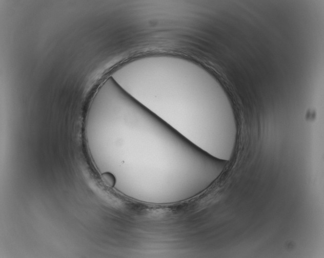 X0000113140446200909041001