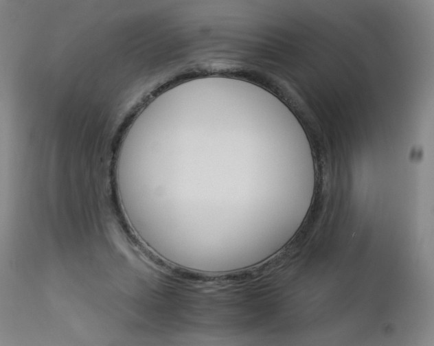 X0000113140447200909041001
