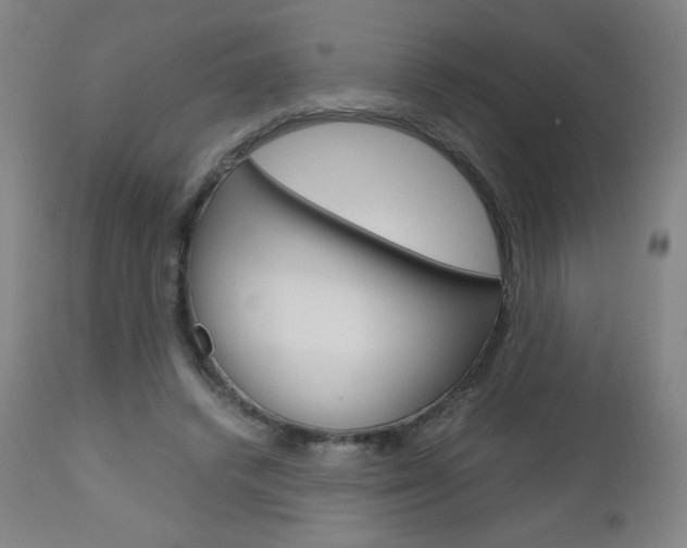 X0000113140448200909041001