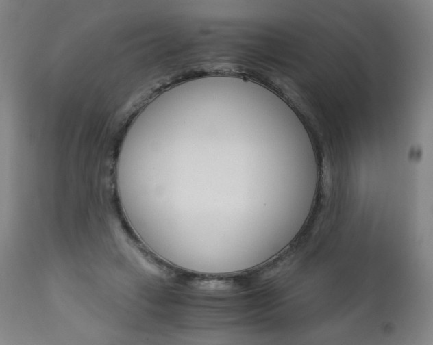 X0000113140449200909041001