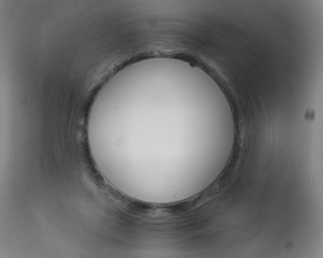 X0000113140451200909041001