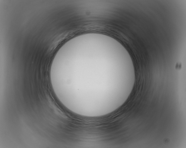 X0000113140452200909041001