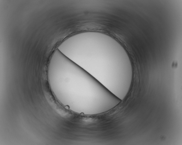 X0000113140453200909041001