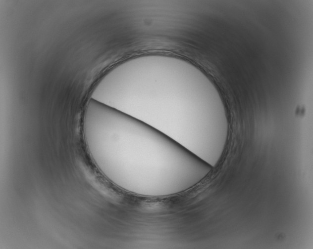 X0000113140454200909041001
