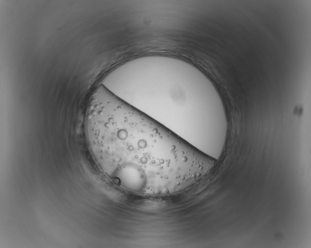 X0000113140458200909041001