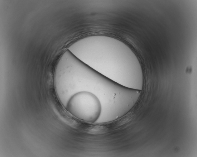 X0000113140459200909041001