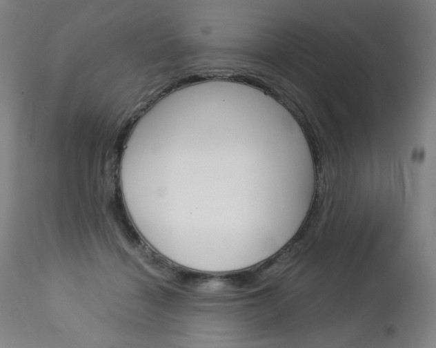 X0000113140460200909041001