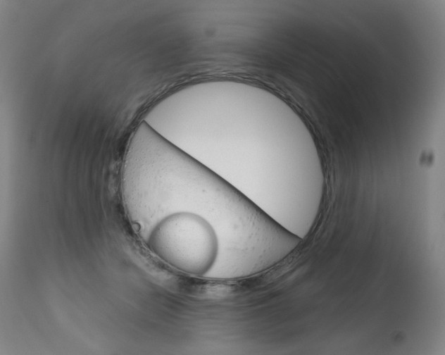 X0000113140462200909041001