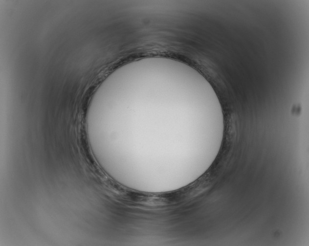 X0000113140463200909041001