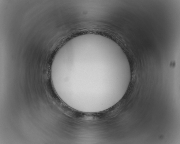 X0000113140464200909041001