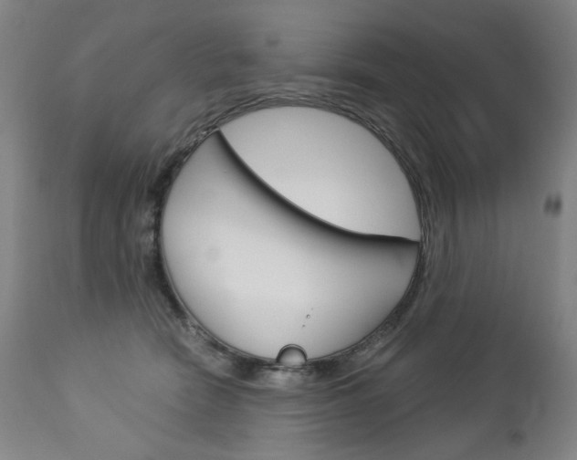 X0000113140466200909041001