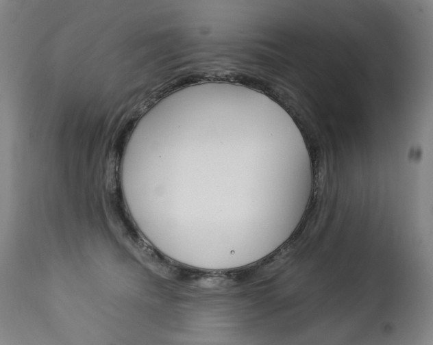 X0000113140468200909041001