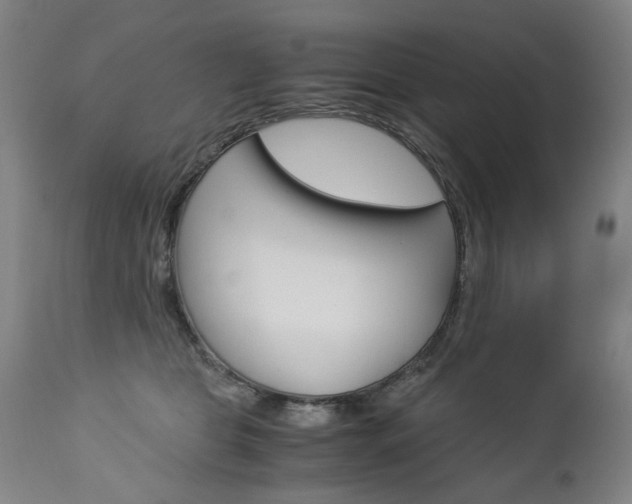 X0000113140469200909041001