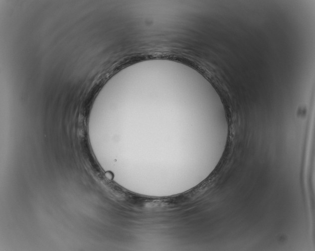 X0000113140470200909041001