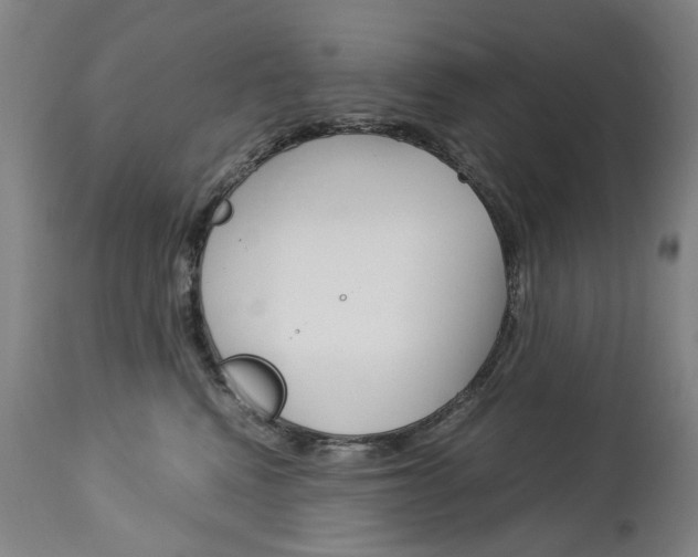 X0000113140472200909041001