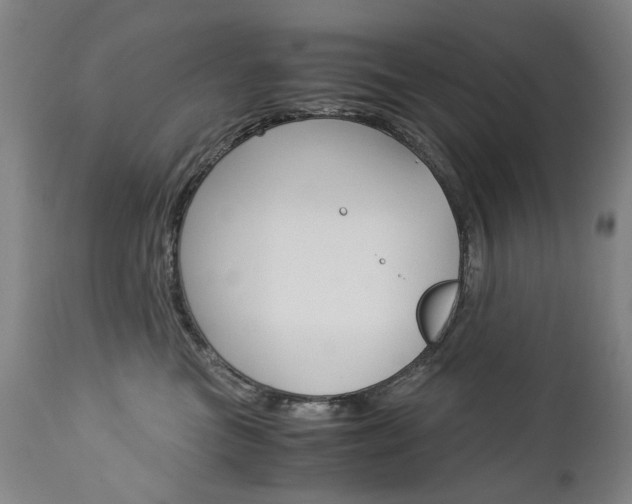 X0000113140473200909041001