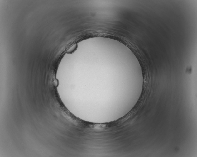 X0000113140474200909041001